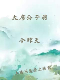 大唐公子羽