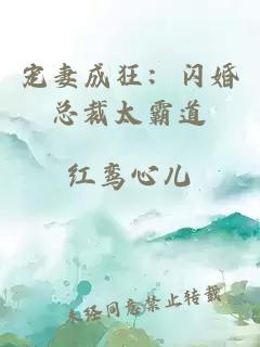 宠妻成狂：闪婚总裁太霸道