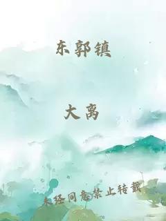 东郭镇