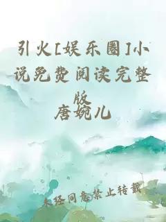 引火[娱乐圈]小说免费阅读完整版