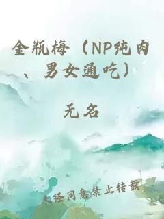 金瓶梅（NP纯肉、男女通吃）