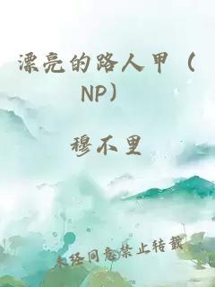 漂亮的路人甲（NP）