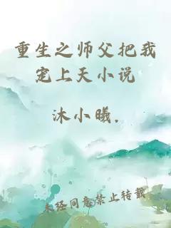 重生之师父把我宠上天小说