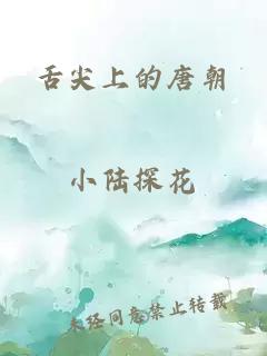 舌尖上的唐朝