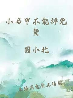 小马甲不能掉免费