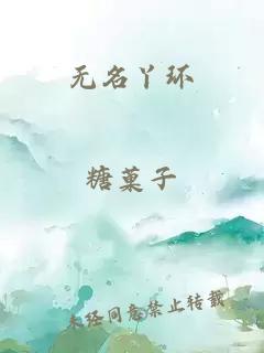 无名丫环