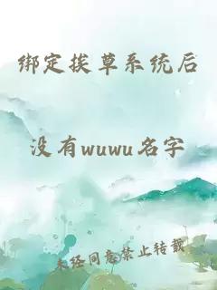 绑定挨草系统后